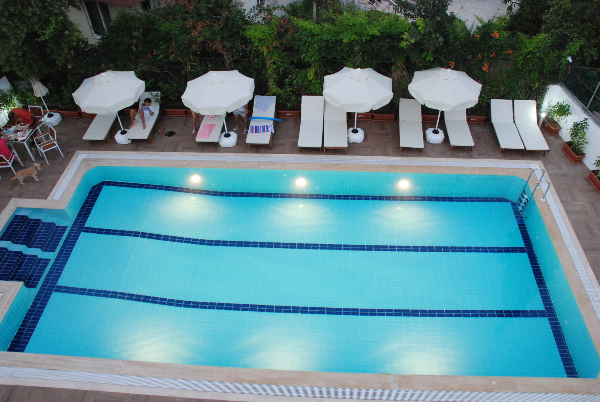 Elegance Hotel Kemer Bagian luar foto